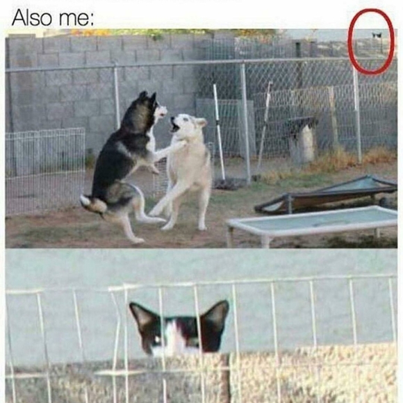 Meet your Posher, Keezy - Picture 4 of 4